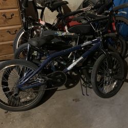 30 Picicletas Buenas 