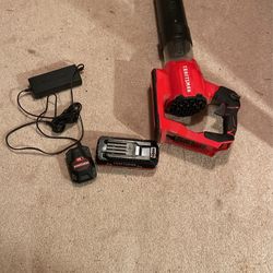 Powerful Blower 3yr Old Need Battery