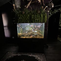 Giant Aquarium