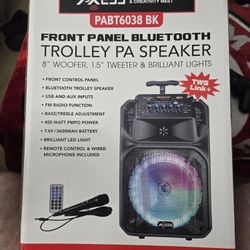 Front Panel Bluetooth Trolley Pa Speaker