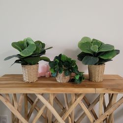 Artificial House Plants Set Of 3