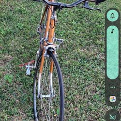 Bortolamie Road Bike 