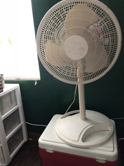 Fan