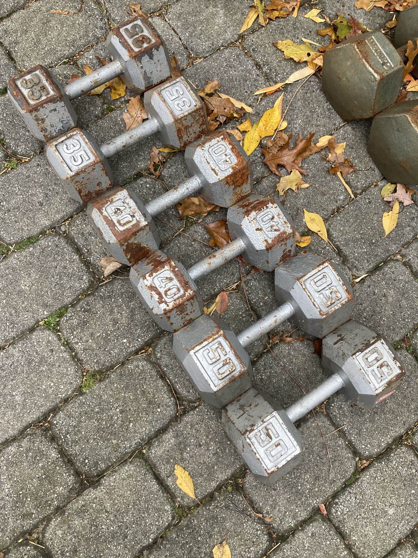 Set Of Steel Hex Dumbbells 35 Lbs To 50 Lbs