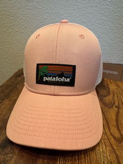 Patagonia Trucker Hat