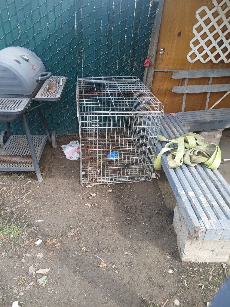 Big Dog Cage