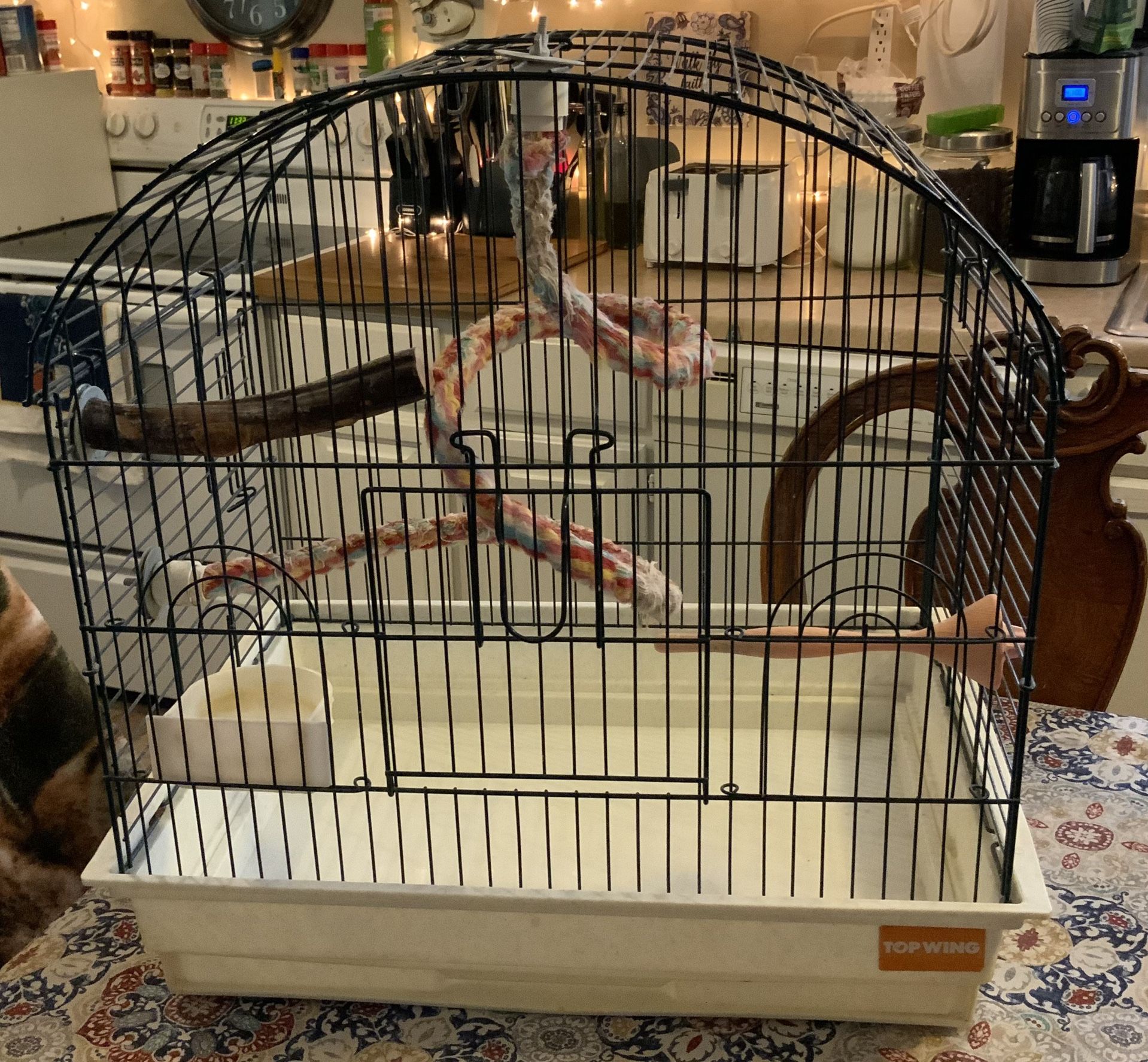 Bird Cage