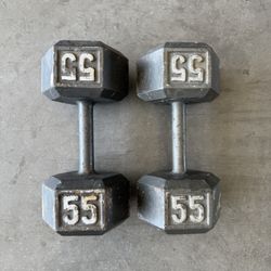 55lb Dumbbells