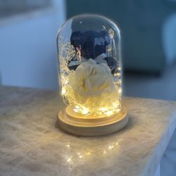 Valentines Day Gift Rose with LED Cute Bear Flower