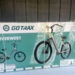 Electric Bike