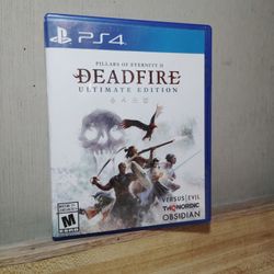 PS4 Pillars Of Eternity #2