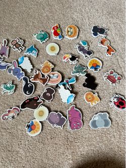 Magnets kids
