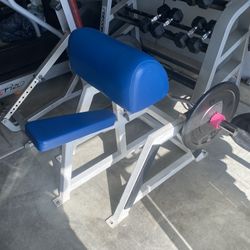 Preacher Curl Bench