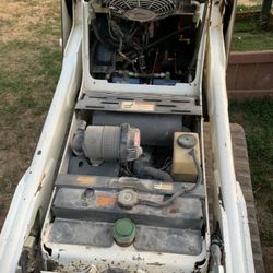 Bobcat Mt55