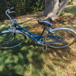 Shwinn Vintage $$100 Buck Obo