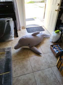 Dolphin, Very Clean