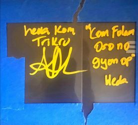 Alycia Debnam Carey Signed Lexa The 100 Funko Window Beckett Coa with multiple inscriptions