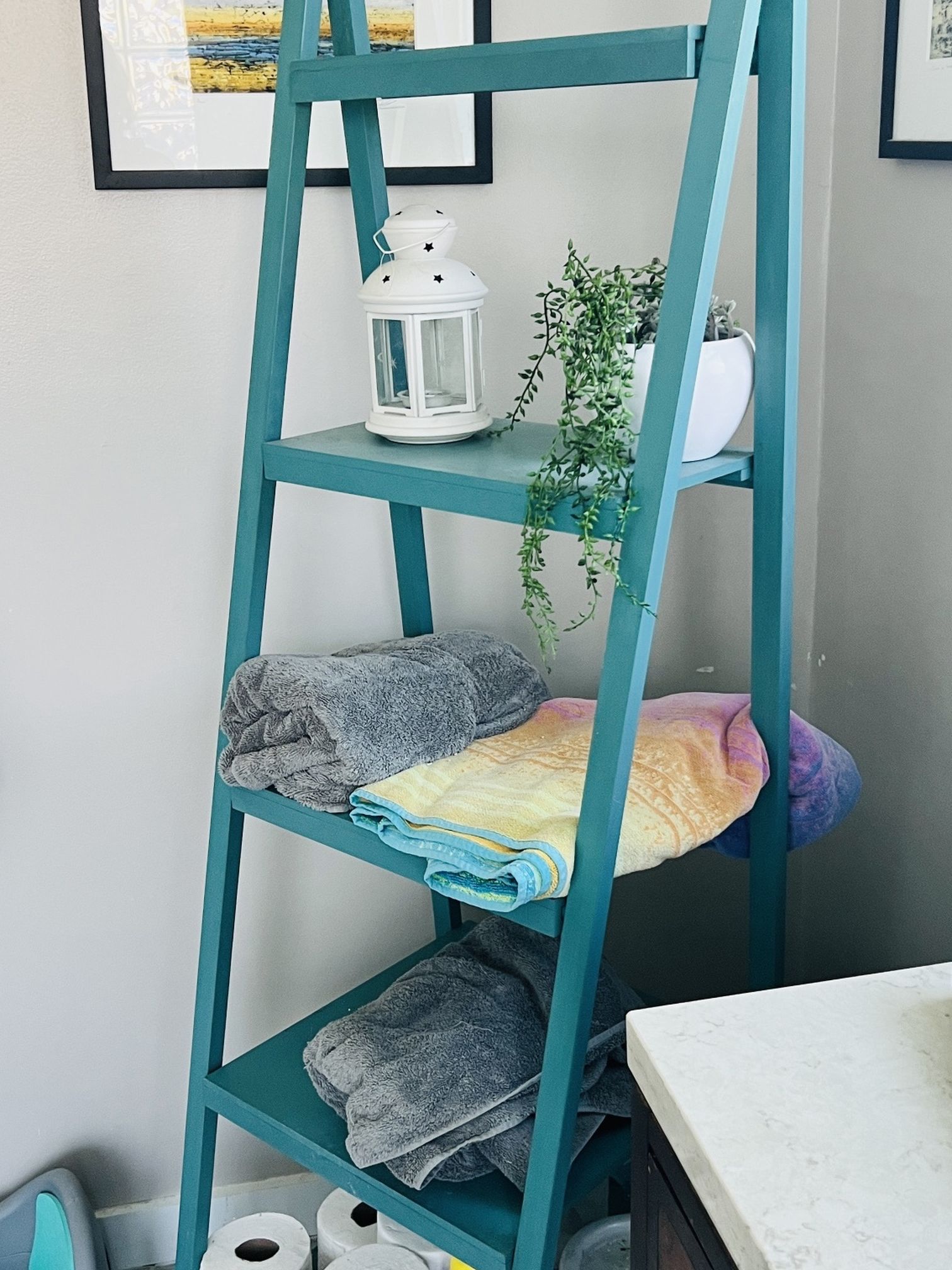 TEAL Ladder SHELF