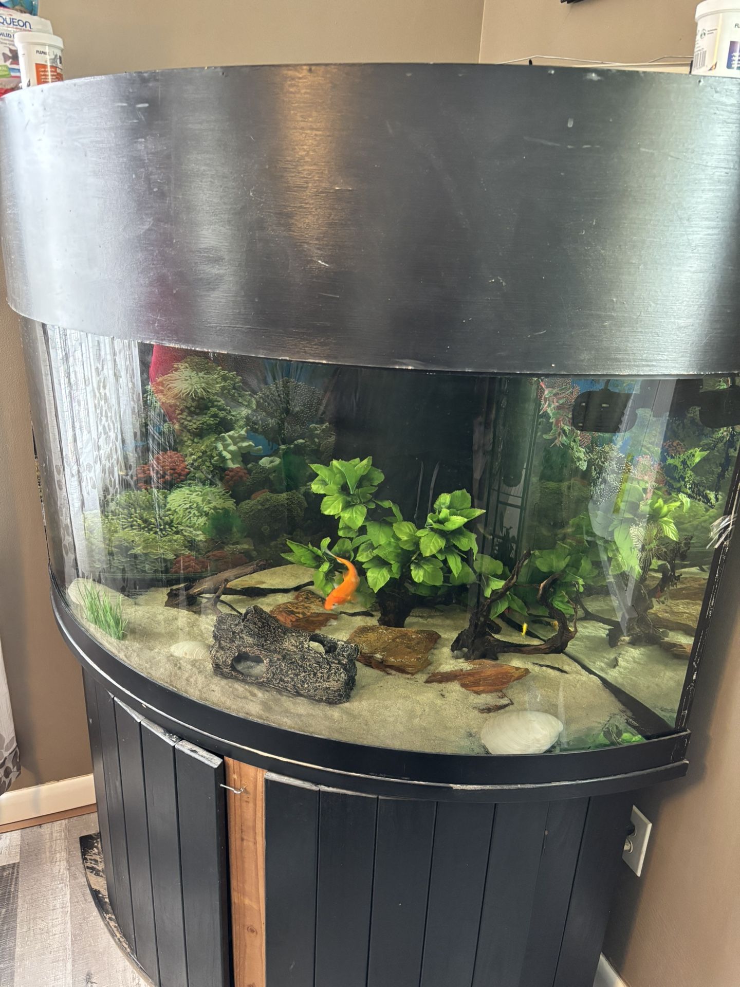 90 Gallon Corner Tank With Sump