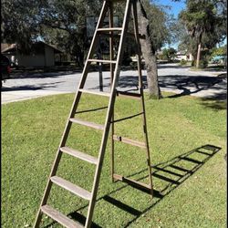Ladder (Please Read👇/East Orlando/UCF)