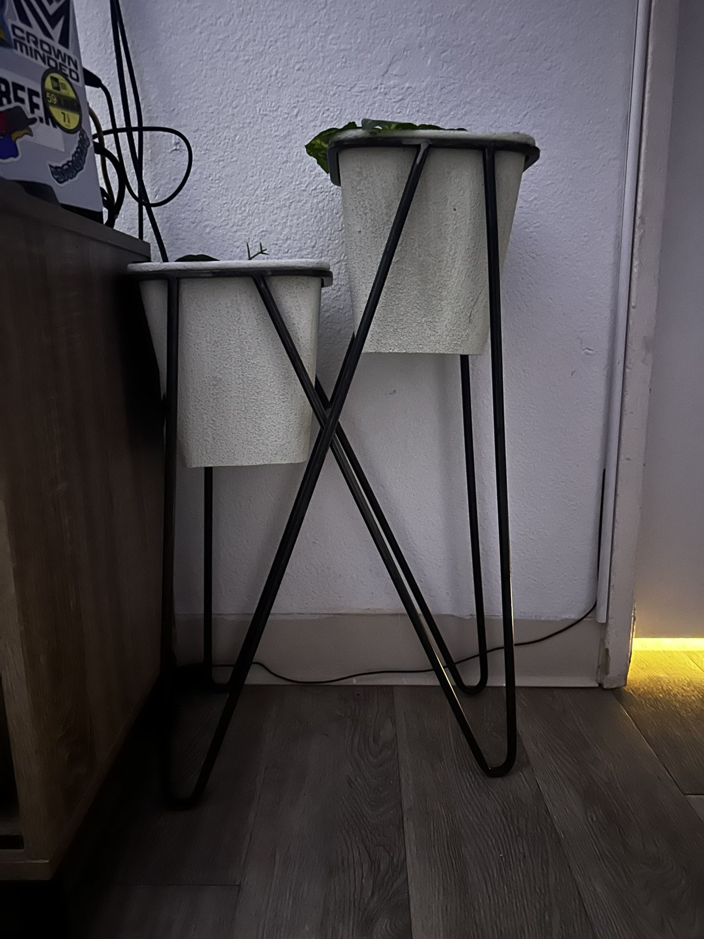 Plant Holder