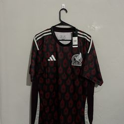 Mexico 2024 Home Jersey (small)