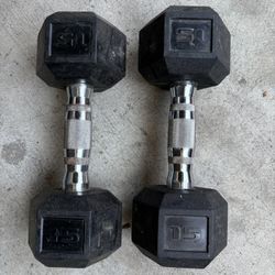15lbs Dumbbells 