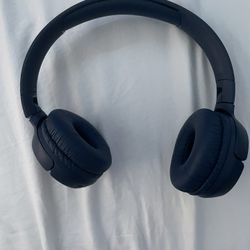 JBL 510 Headphones