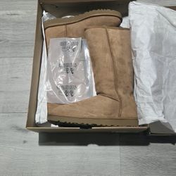 UGG BRAND NEW Never Used Size 10