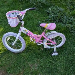 Small Pink Girls Bike 16" Tires Titan Flower Princess 