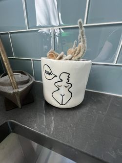 Pot With Cactus (live)