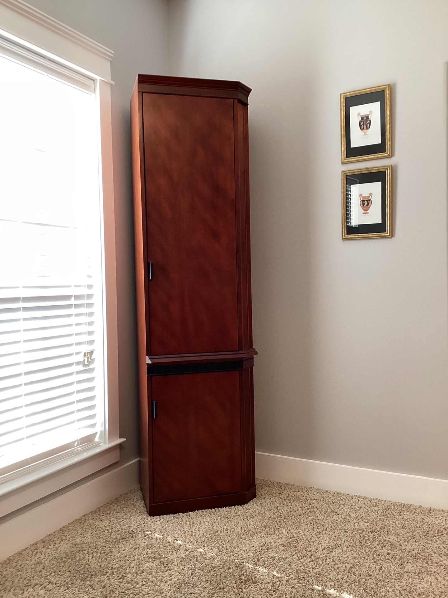 Office Cabinetry Closet Bookcase 