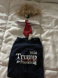 Dog Trump Short Wig And Tie Size S