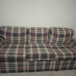 Pullout Sofa And Love Seat 
