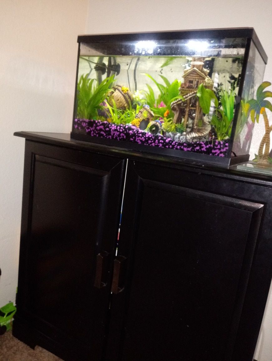 Fish tank, stand an all necessary accessories