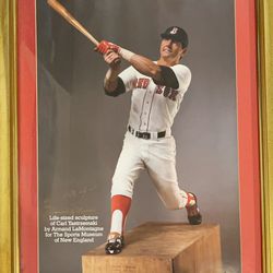 Yaz Print Framed