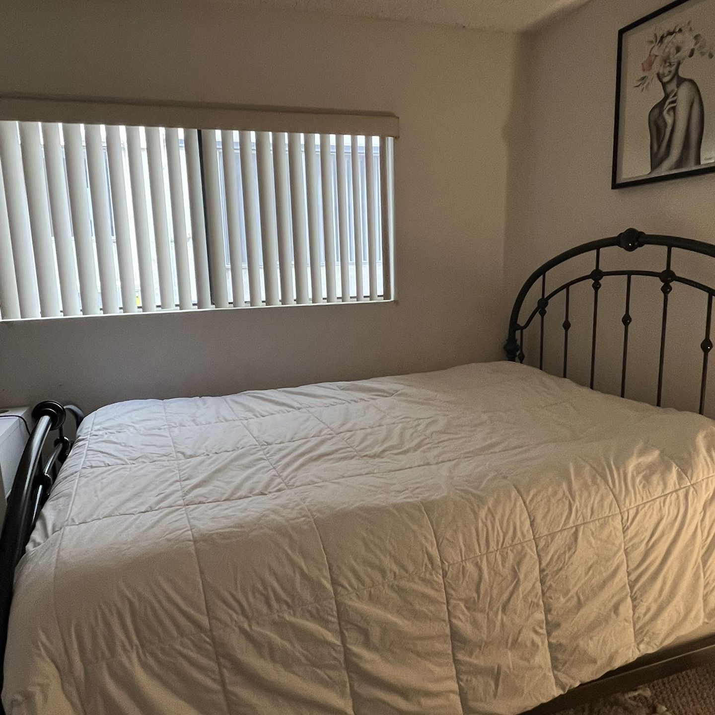 Queen Size Bed and Frame