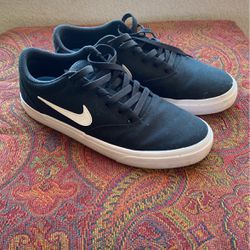 Nike SB Skate Shoes