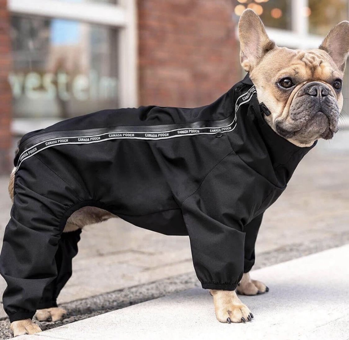 Canada Pooch Slush Suit Size 26 Black Snow & Water-Resistant Dog Bodysuit NWT