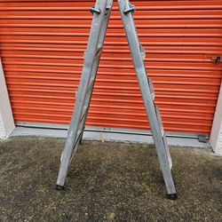 Werner Adjustable Ladder 