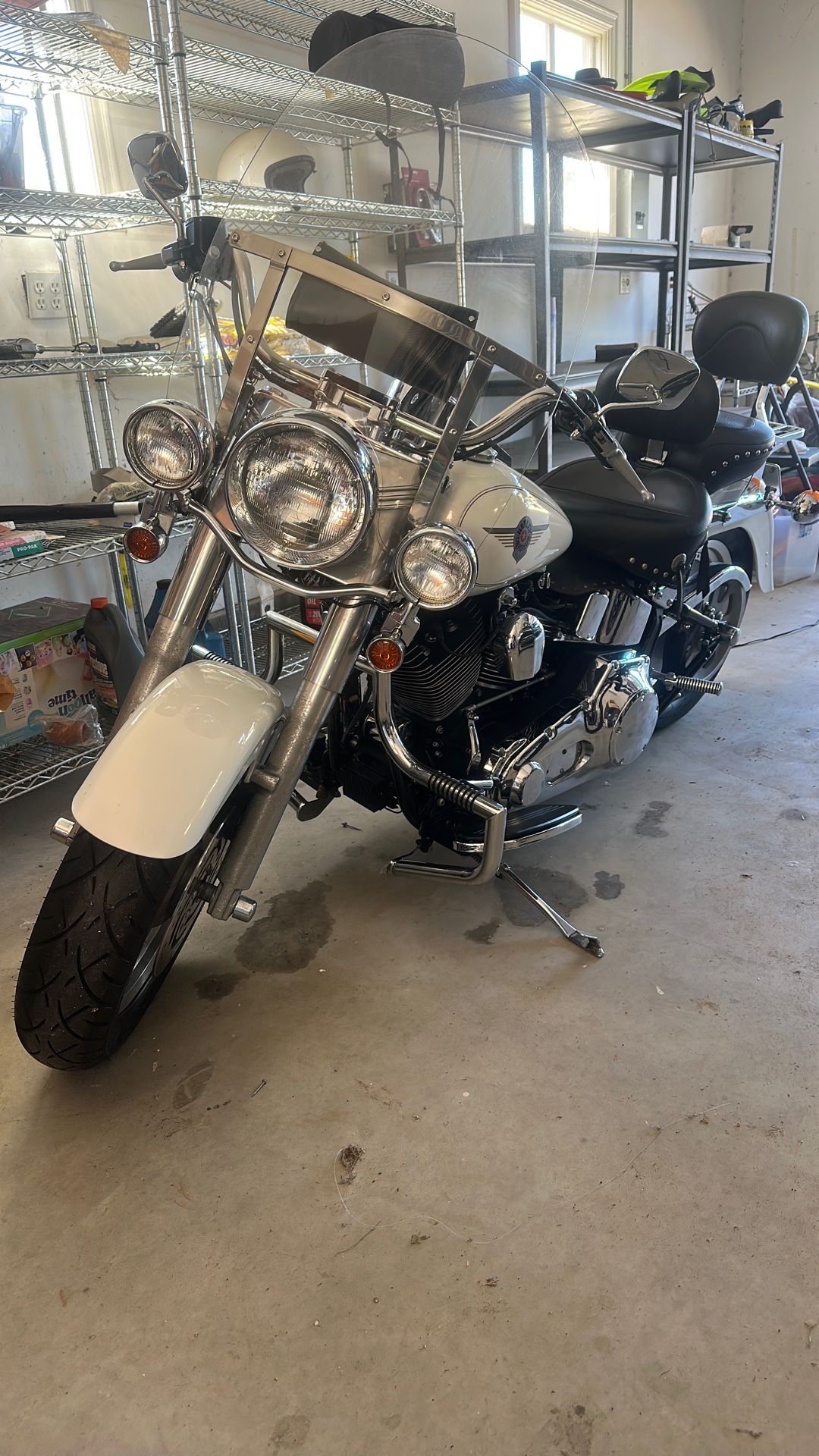 Harley Softail Need Gone Asap