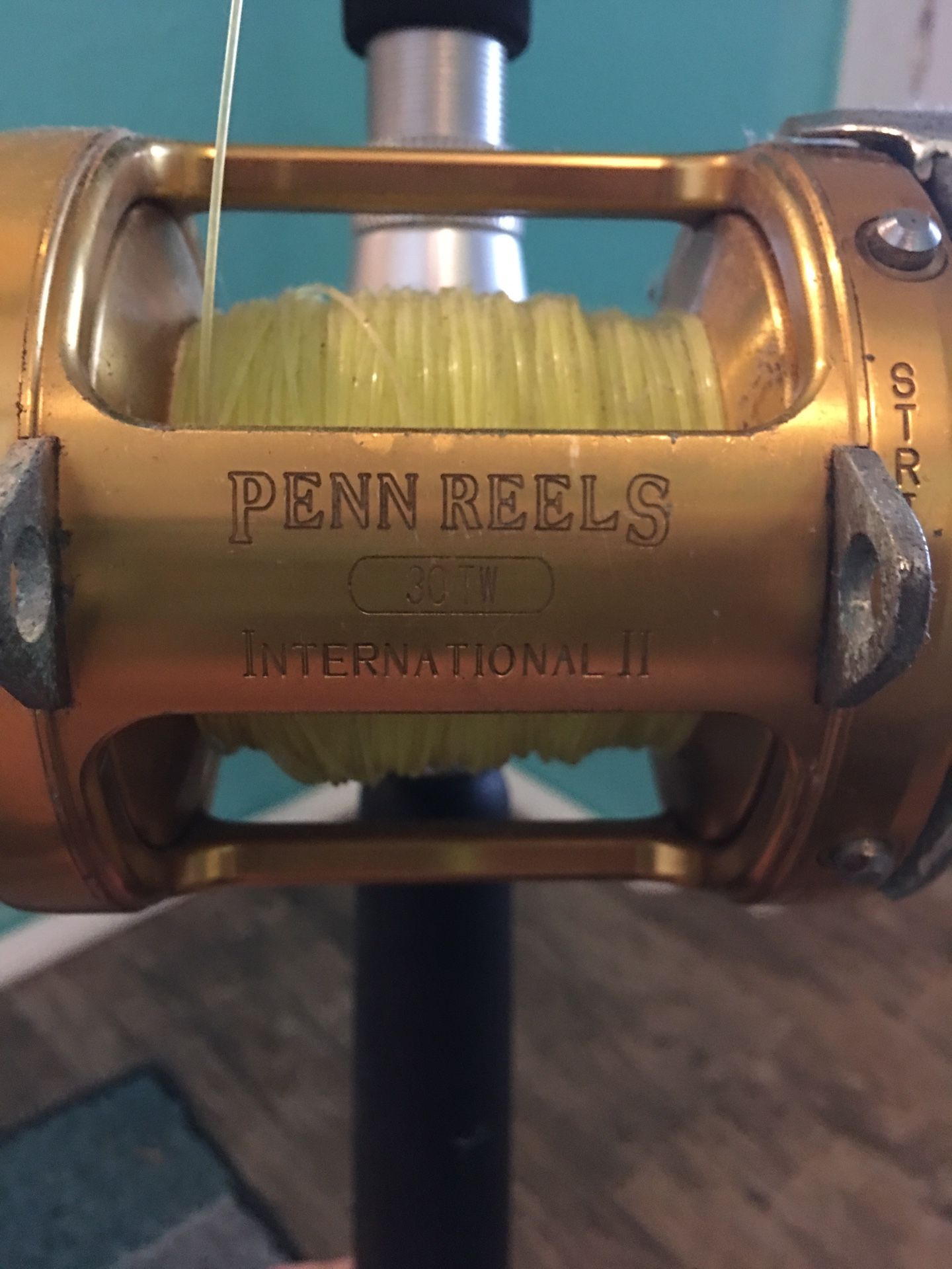 Penn International 30w