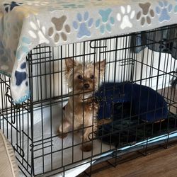 Small Dog Cage