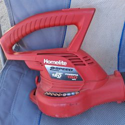 Homelite small electric blower.