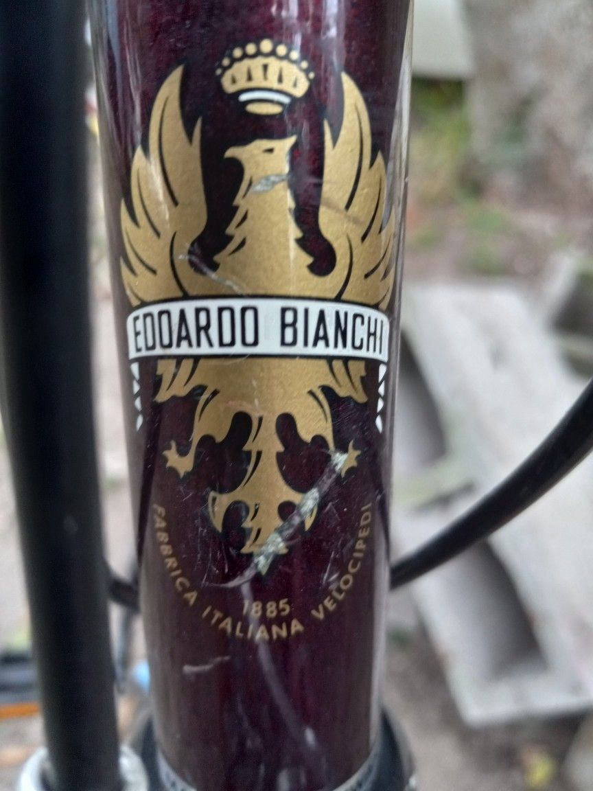 Bianchi Brava Road Bike