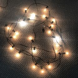 Cafe Lights 24ft All Bulbs Working