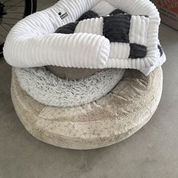 Dog Beds - Free 