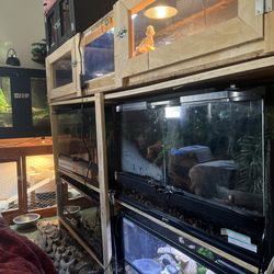 Reptile enclosures