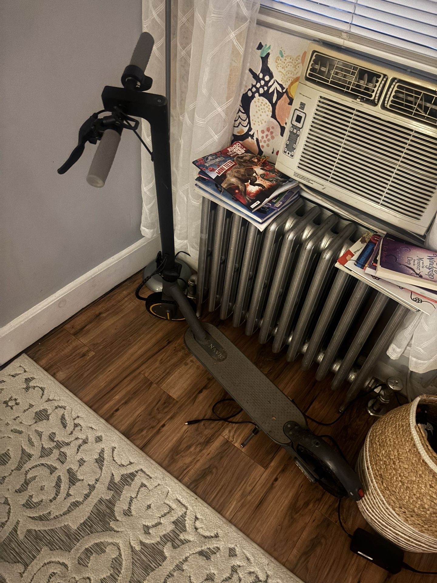Electric scooter 