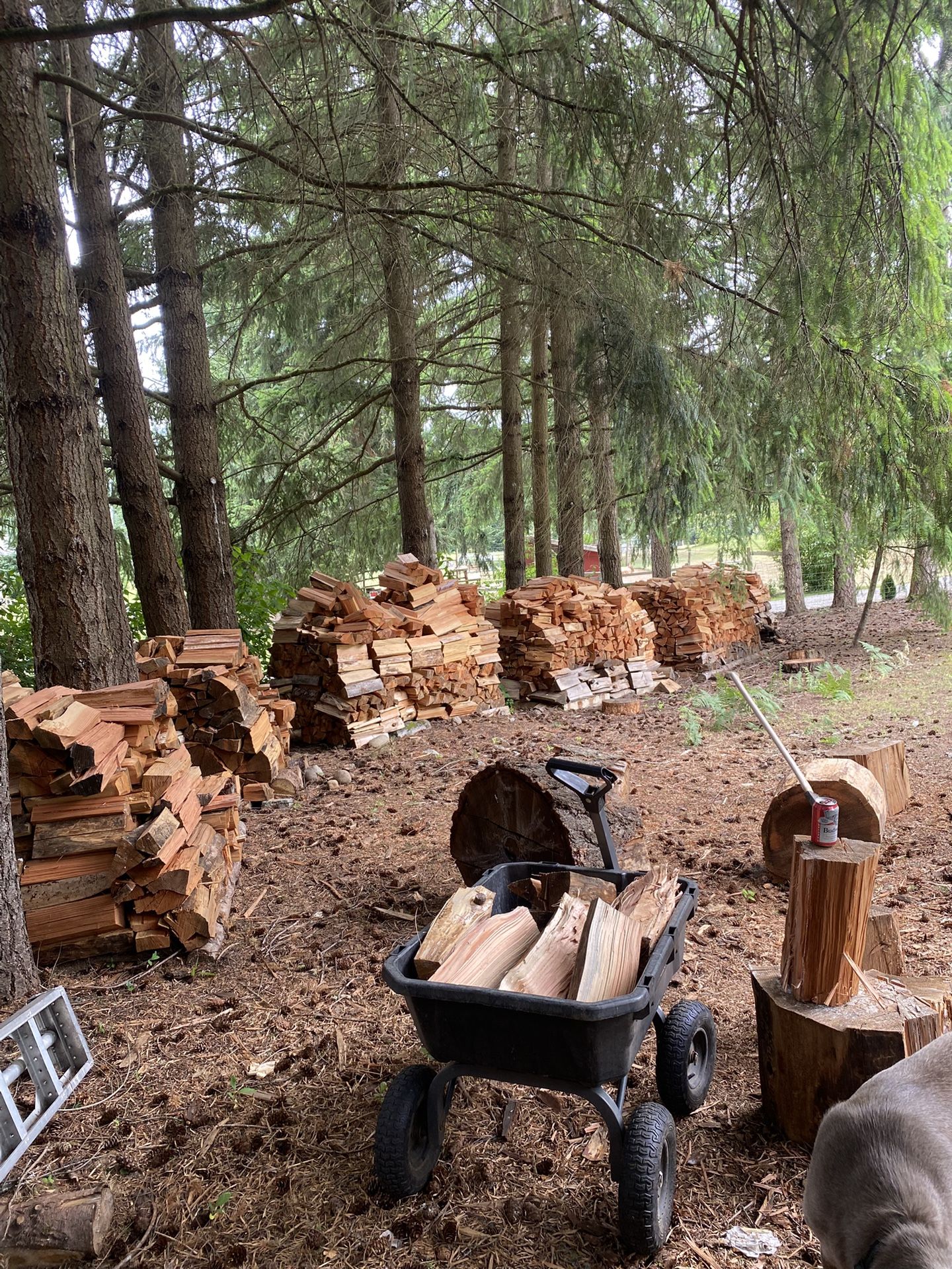 Firewood For Sale